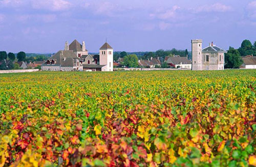 Vùng đất Bordeaux nổi tiếng với khí hậu ưu đãi